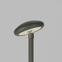 AMANITA STD-000409