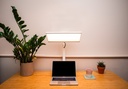 The Workplace Light (Desk Clamp)