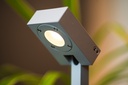 Path Bandit