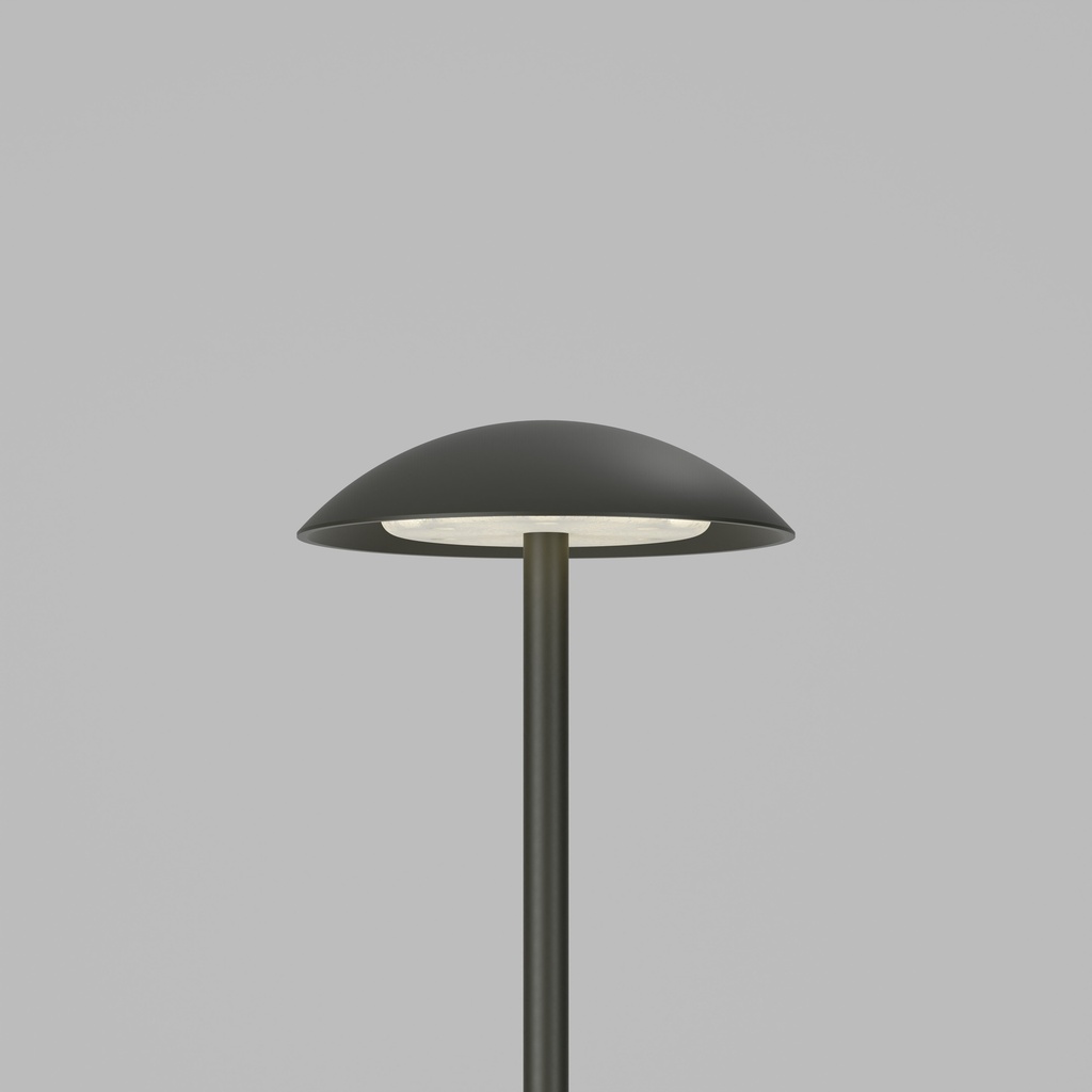 MUSHROOM (MKii) STD-000411