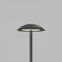 MUSHROOM (MKii) STD-000411