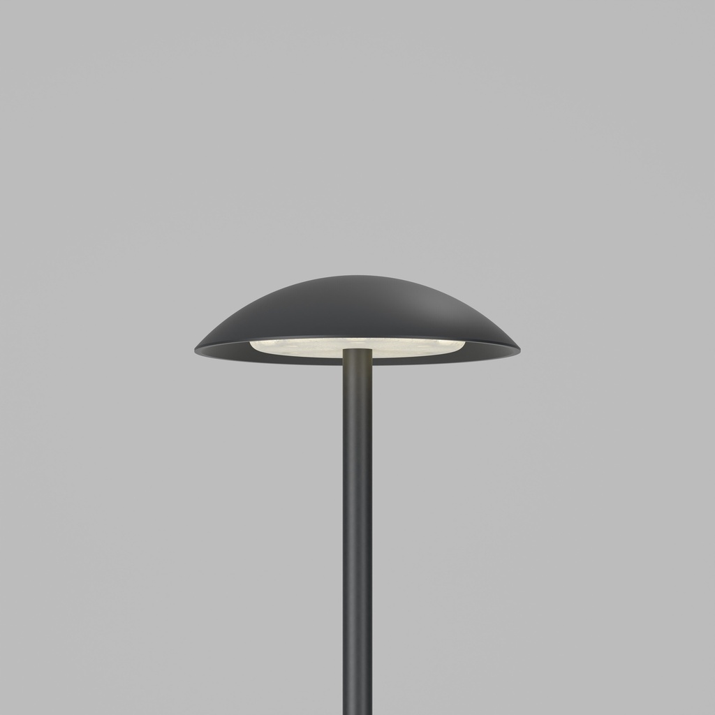MUSHROOM (MKii) STD-000411