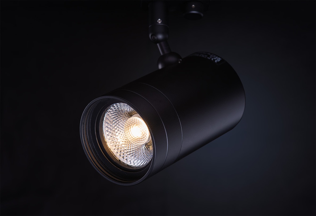 ZTA.70.Mains Track.Zoom.N