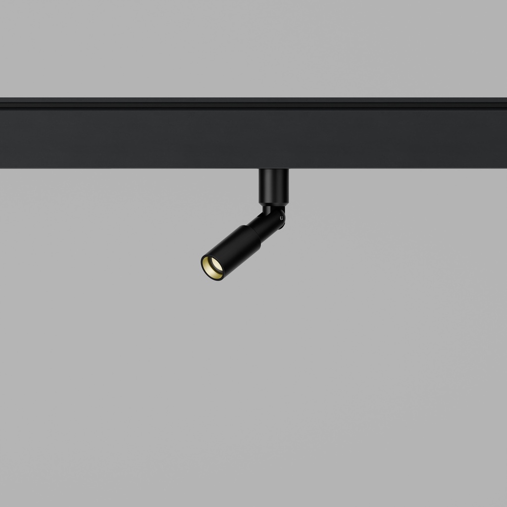 Protozoa Track (Single Head)