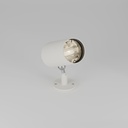 ZTA.70.Surface.Wall Wash