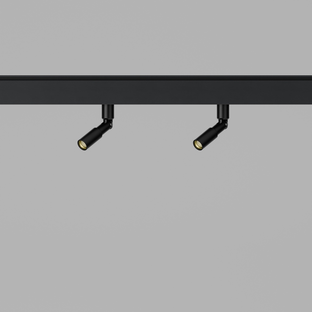 Protozoa Track (Double Head)