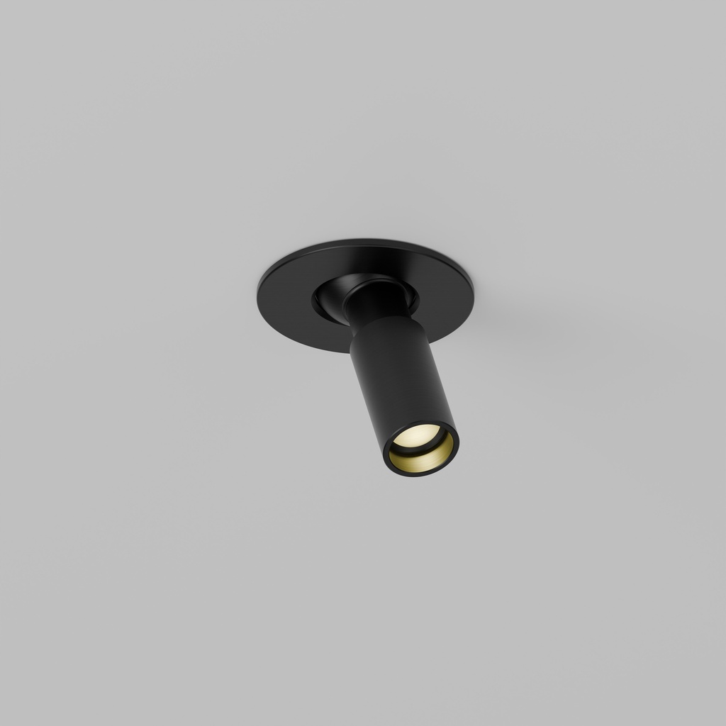 Protozoa Semi-Recessed Adjustable